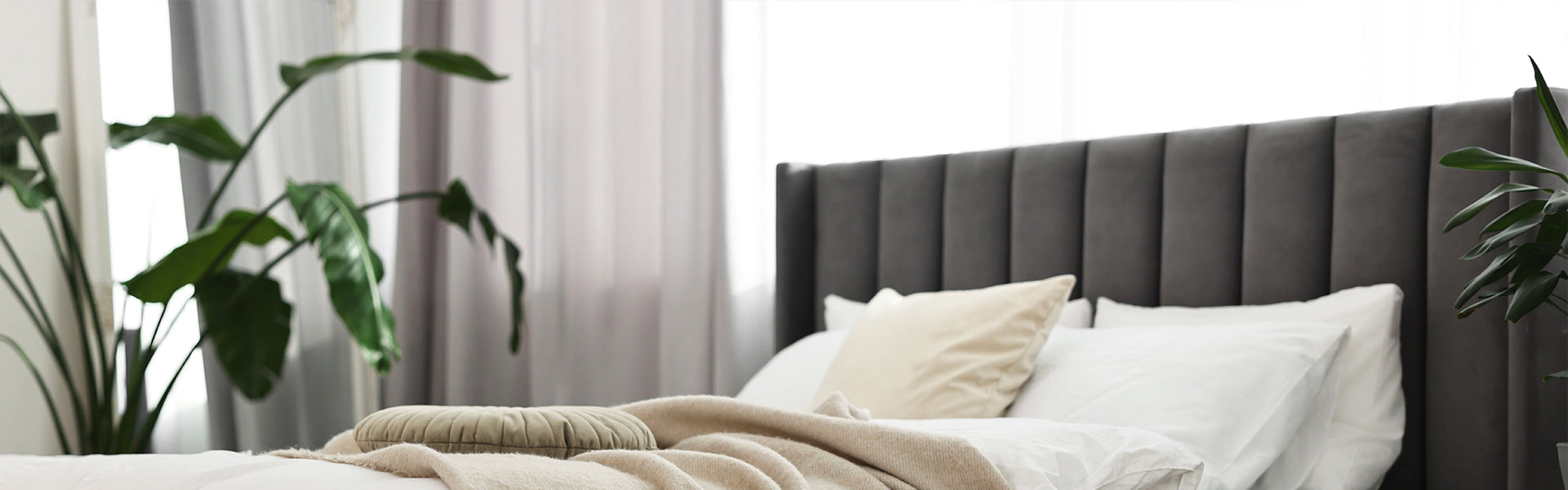 Bed Frames