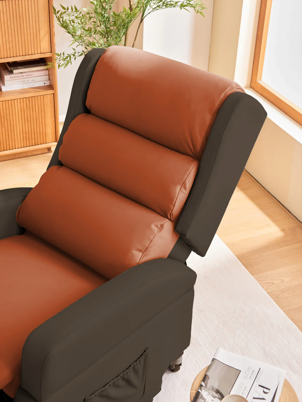 ALYA® Elderly Lift Up Armchair