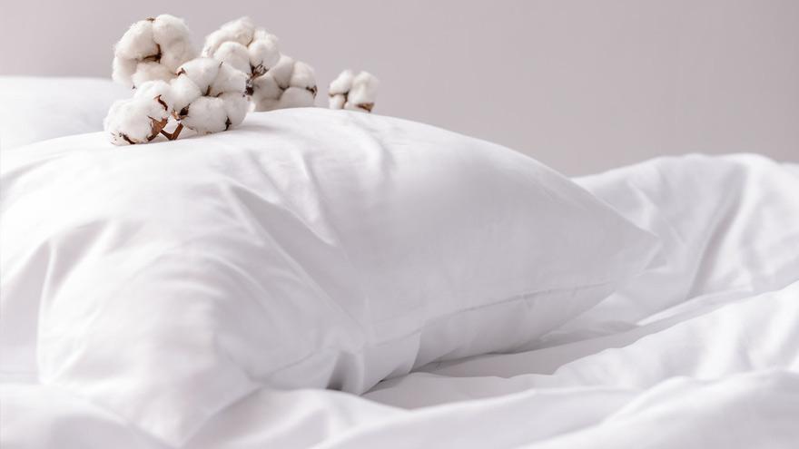 Why Consider Combed Cotton for Your Bed Sheets?