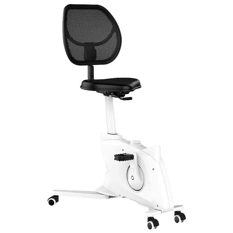 (Display Set) Height Adjustable Exercise Bike Chair General Not specified 